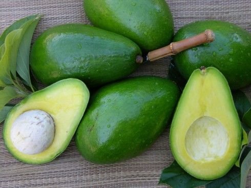 Beauty benefits of avocado for skin, hair and body 1